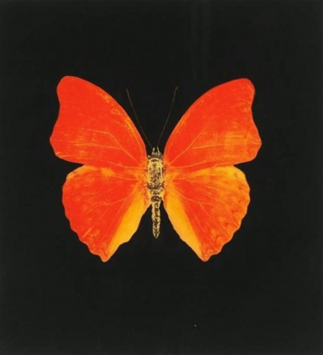 Damien Hirst Memento 3 intaglio print of red-orange butterfly with symmetrical wings on black background. Damien Hirst Memento 3 intaglio print of red-orange butterfly with symmetrical wings on black background.