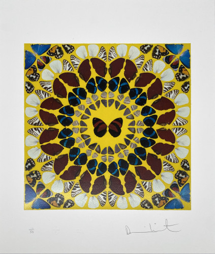 Damien Hirst’s Miracle, giclée print, shows a kaleidoscopic design of butterfly wings in symmetrical patterns on a yellow background. Damien Hirst’s Miracle, giclée print, shows a kaleidoscopic design of butterfly wings in symmetrical patterns on a yellow background.