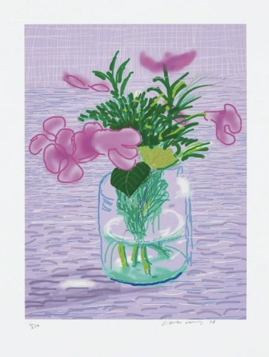 David Hockney Untitled 329 iPad drawing inkjet print of pink flowers and green leaves in a glass vase on lilac background