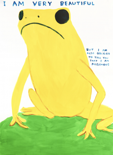 David Shrigley I Am Very Beautiful screenprint of yellow frog with text about beauty and being poisonous in blue and red handwritten font. 