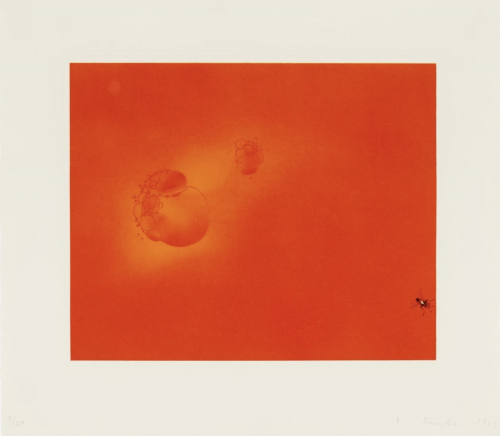 Ed Ruscha Boiling Blood Fly lithograph with red-orange field, faint bubbles, and small fly in lower right corner