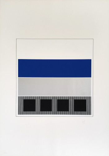 Rafael Jesus SOTO | Caroni | Silkscreen  available for sale on composition gallery