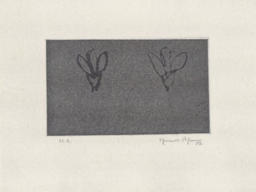 Joan Hernández Pijuan Flors sobre gris aquatint and drypoint showing two abstract flower forms on a muted gray background.