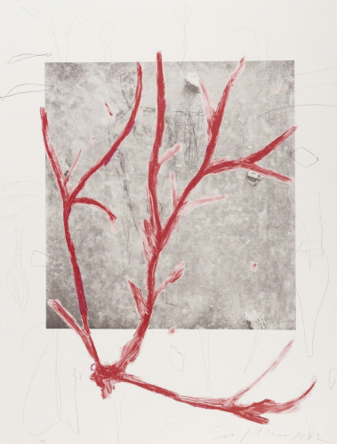 Mimmo Paladino Untitled screenprint with vivid red branching form over gray square and faint line drawings.