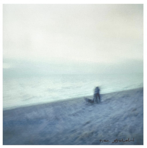 Nan Goldin Memory Lost Sirens digital print of blurry figure and dog on a beach under soft, muted sky in blue-gray tones.   