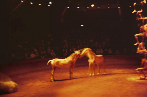 Nan Goldin Triptyk, Zingaro Equestrian Theater c-print showing blurred horses and acrobat in warm-lit circus arena.
