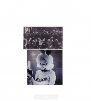 Richard Prince Protest Portfolio 2014 set of 11 inkjet prints juxtaposing protest photography with erotic imagery edition of 45