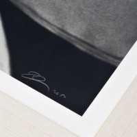 Robert Longo Flag (Old Glory) pigment print showing black and white American flag with dramatic folds and shadows. 