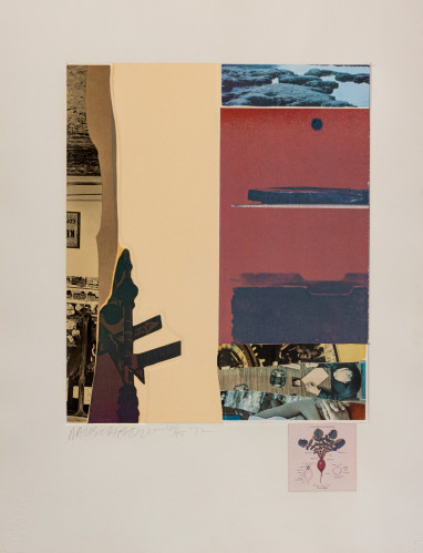 Robert Rauschenberg XI collage with layered prints, street signs, photos, and botanical diagram in abstract arrangement.